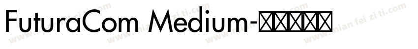 FuturaCom Medium字体转换